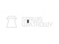 wiatrowka-airgun-pistol-pistolet-reximex-rp---rpa-pcp-uszczelka-seal-gasket-garnitura-zaworu-strzalowego-firing-valve.png