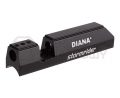 Blok_Diana_Stormrider.jpg