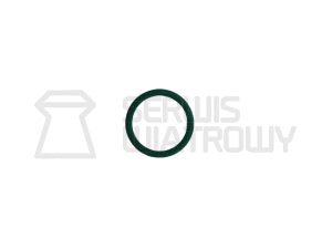 Uszczelka oring kartusza do Feinwerkbau FWB C60 MOD.SW